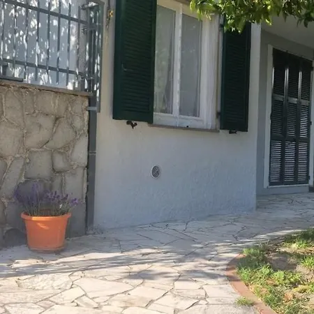 La Magnolia * 아메그리아