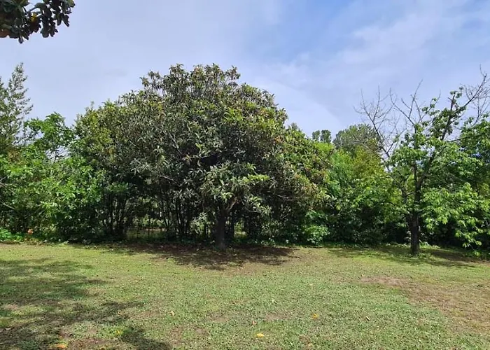 Nyaraló La Magnolia