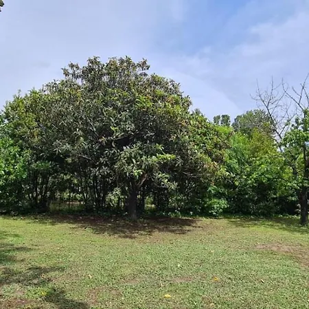 בית נופש La Magnolia