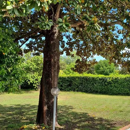 Ferienhaus La Magnolia Ameglia